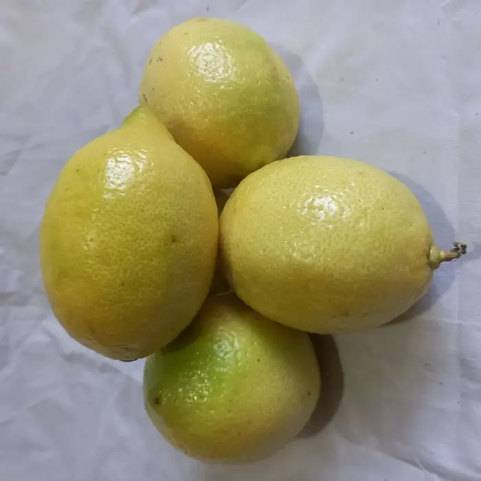 Limón