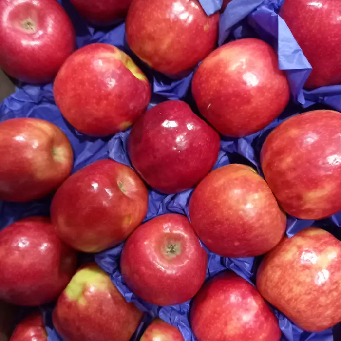 Manzana pink lady