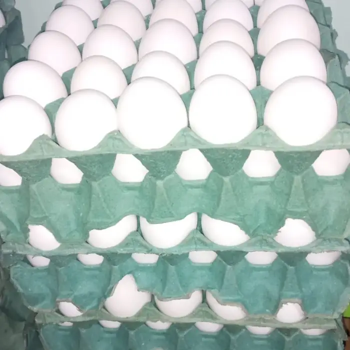 Huevos N1