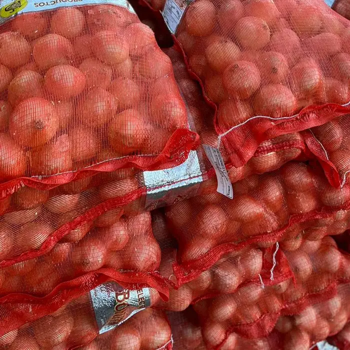 Cebolla