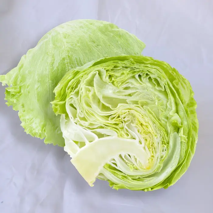 Lechuga repollada