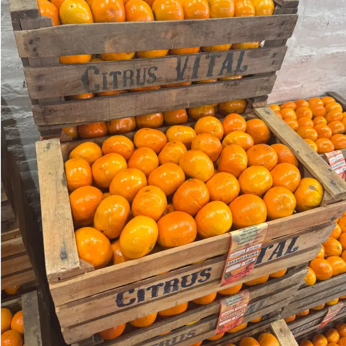Mandarina criolla