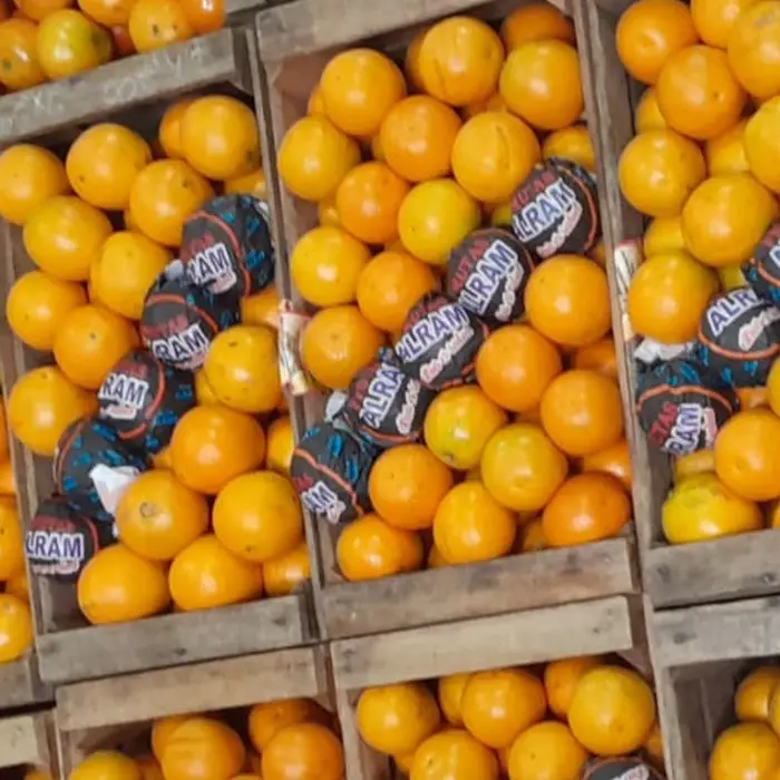 Naranjas ombligo