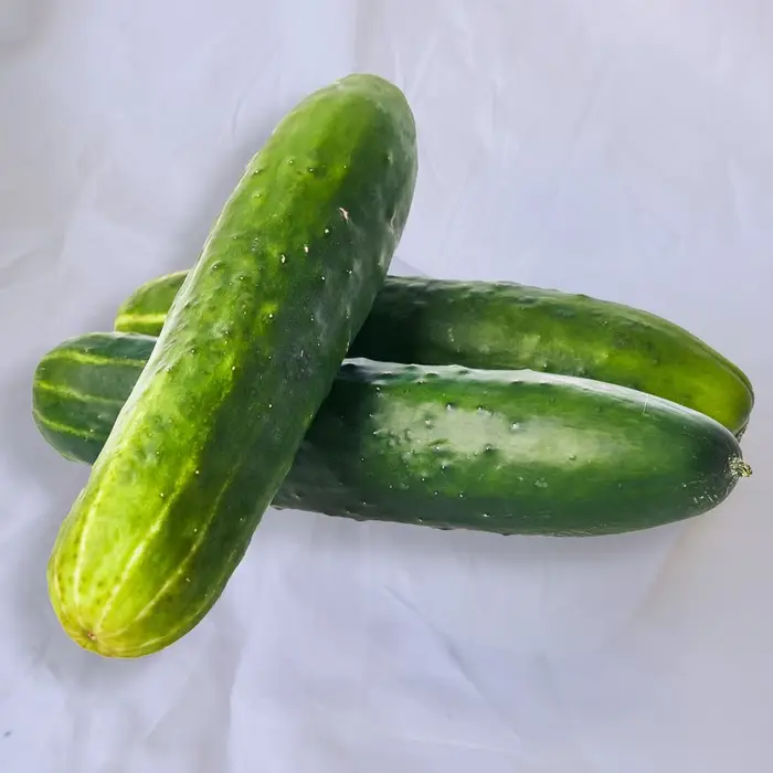 Pepino