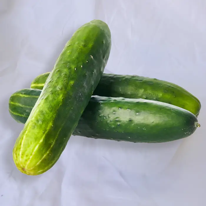 Pepino