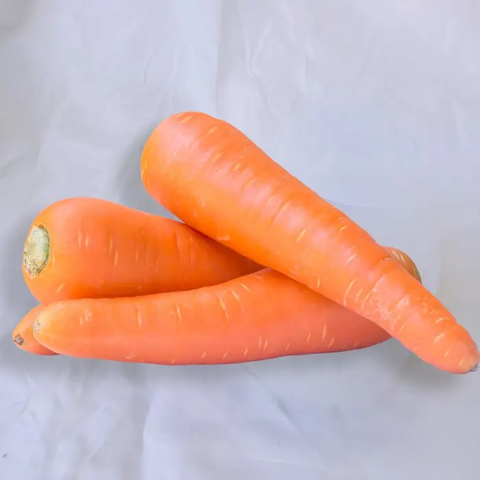 Zanahoria