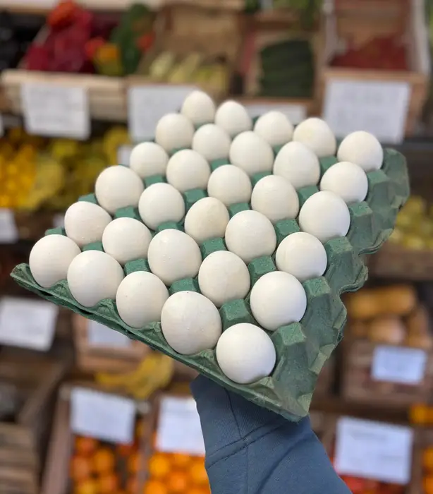 HUEVOS